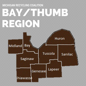 Bay and Thumb Region